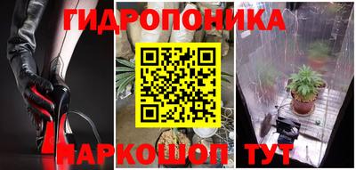 герыч Краснодар
