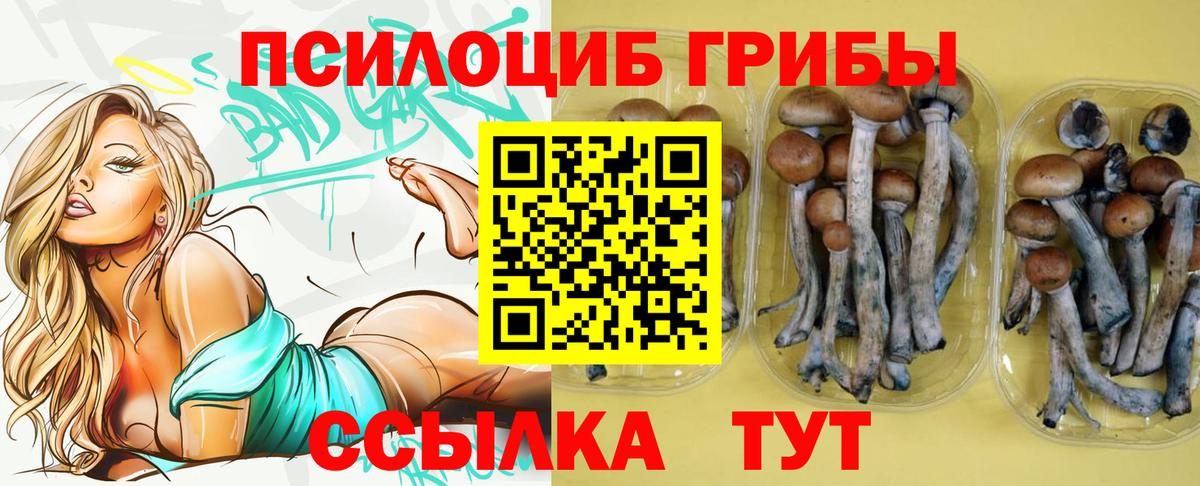 Галлюциногенные грибы Magic Shrooms Казань