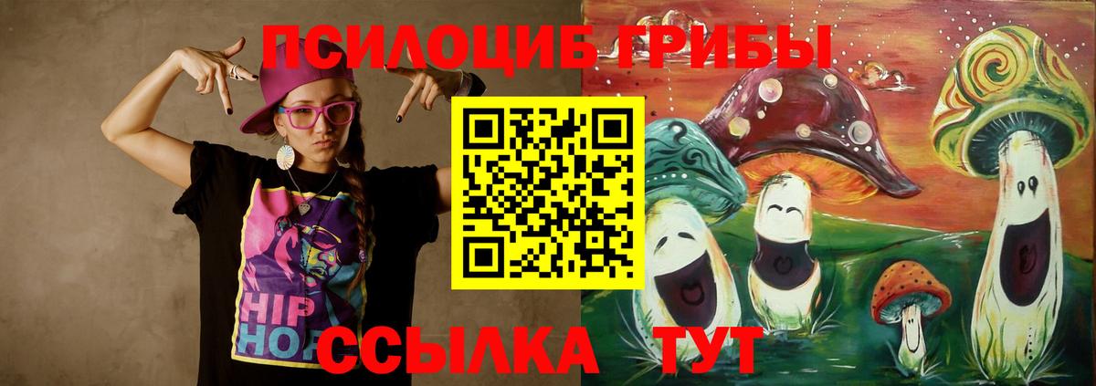 купить  цена  Вход с VPN  Казань  Псилоцибиновые грибы Cubensis 